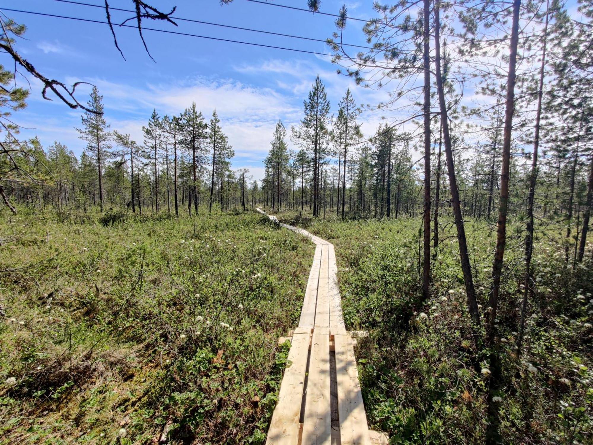 Langforsen Glamping & Lapland Experience Hotel Lapptrask Exterior foto