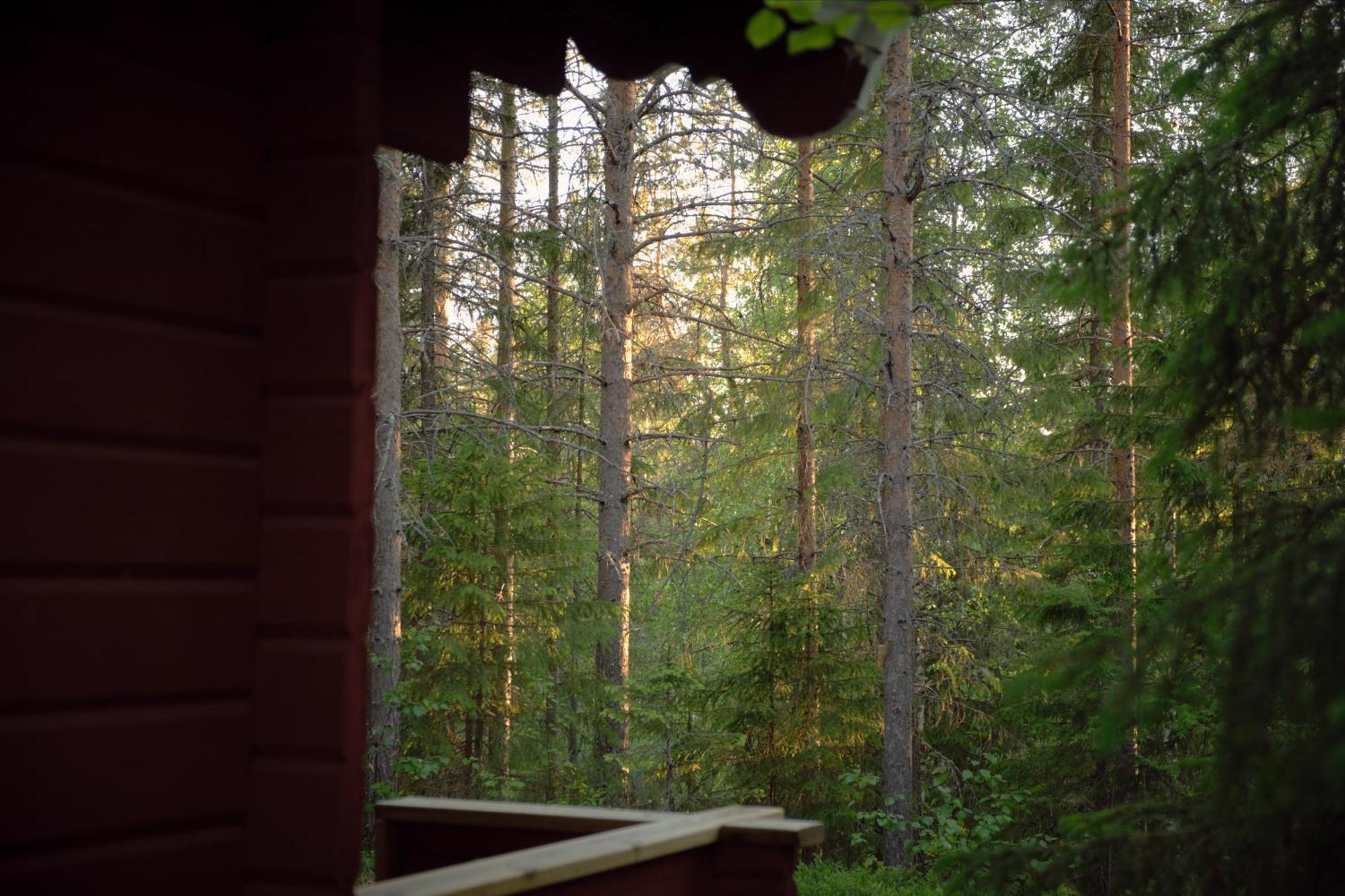 Langforsen Glamping & Lapland Experience Hotel Lapptrask Exterior foto